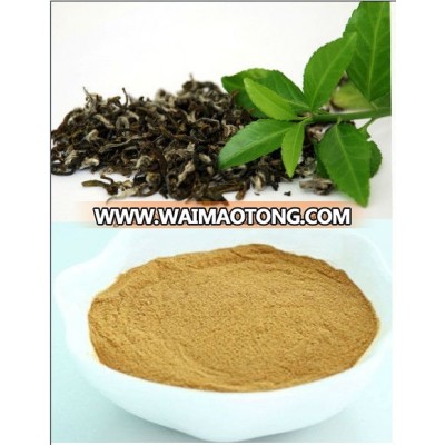 Green tea powder for making hot milk tea drinks